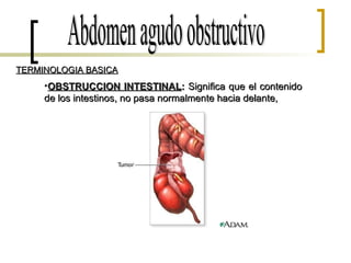 Abdomen agudo obstructivo TERMINOLOGIA BASICA OBSTRUCCION INTESTINAL :  Significa que el contenido de los intestinos, no pasa normalmente hacia delante,  