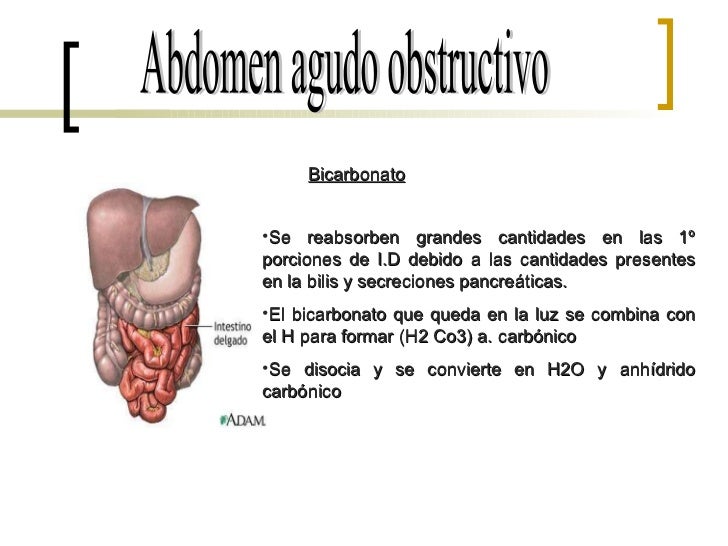 Abdomen Agudo Obstructivo Seminario
