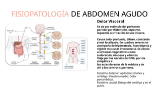 FISIOPATOLOGÍA DE ABDOMEN AGUDO
Dolor Visceral
Se da por estímulo del peritoneo
parietal por distensión, espasmo,
isquemia o irritación de una víscera.
Causa dolor profundo, difuso, constante
y mal localizado. En cuadros severos se
acompaña de hiperestesia, hiperalgesia y
rigidez muscular involuntaria. Se asocia
a síntomas vegetativos como
sudoración, náuseas y vómitos.
Viaja por los nervios del SNA, por vía
simpática a
las astas dorsales de la médula y de
ahí a los centros superiores.
Intestino Anterior: Apéndice xifoides y
ombligo. Intestino medio: Dolor
periumbilical.
Intestino caudal: Debajo del ombligo y en el
pubis.
 