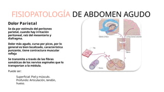 FISIOPATOLOGÍA DE ABDOMEN AGUDO
Dolor Parietal
Se da por estímulo del peritoneo
parietal, cuando hay irritación
peritoneal, raíz del mesenterio y
diafragma.
Dolor más agudo, cursa por picos, por lo
general es bien localizado, característica
punzante, tiene contractura muscular
reﬂeja
Se transmite a través de las fibras
somáticas de los nervios espinales que lo
transportan a la médula.
Puede ser:
Superficial: Piel y músculo.
Profundo: Articulación, tendón,
hueso.
 