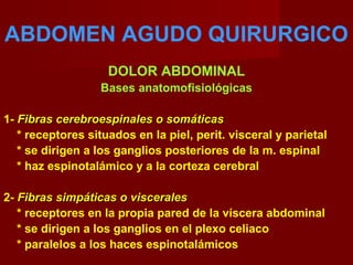ABDOMEN AGUDO QUIRURGICO
DOLOR ABDOMINAL
Bases anatomofisiológicas
1- Fibras cerebroespinales o somáticasFibras cerebroespinales o somáticas
* receptores situados en la piel, perit. visceral y parietal
* se dirigen a los ganglios posteriores de la m. espinal
* haz espinotalámico y a la corteza cerebral
2- Fibras simpáticas o visceralesFibras simpáticas o viscerales
* receptores en la propia pared de la víscera abdominal
* se dirigen a los ganglios en el plexo celiaco
* paralelos a los haces espinotalámicos
 