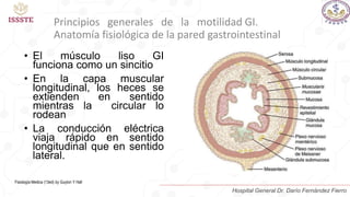 Principios generales de la motilidad GI.
Anatomía fisiológica de la pared gastrointestinal
• El músculo liso GI
funciona como un sincitio
• En la capa muscular
longitudinal, los heces se
extienden en sentido
mientras la circular lo
rodean
• La conducción eléctrica
viaja rápido en sentido
longitudinal que en sentido
lateral.
Fisiología Medica (13ed) by Guyton Y Hall
Hospital General Dr. Darío Fernández Fierro
 