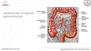 Anatomía de la irrigación
gastrointestinal
Fisiología Medica (13ed) by Guyton Y Hall Hospital General Dr. Darío Fernández Fierro
 
