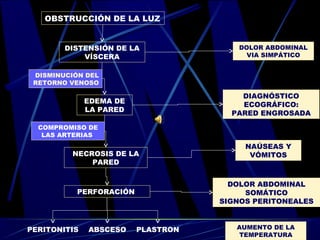 OBSTRUCCIÓN DE LA LUZ


        DISTENSIÓN DE LA               DOLOR ABDOMINAL
            VÍSCERA                      VIA SIMPÁTICO


 DISMINUCIÓN DEL
 RETORNO VENOSO

                                        DIAGNÓSTICO
              EDEMA DE                  ECOGRÁFICO:
              LA PARED                PARED ENGROSADA
  COMPROMISO DE
   LAS ARTERIAS
                                         NAÚSEAS Y
         NECROSIS DE LA                   VÓMITOS
             PARED


                                      DOLOR ABDOMINAL
           PERFORACIÓN                   SOMÁTICO
                                    SIGNOS PERITONEALES


PERITONITIS   ABSCESO    PLASTRON      AUMENTO DE LA
                                       TEMPERATURA
 