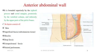 Abdomenal wall.pptx ANATOMY OF GIT NEW C | PPTX