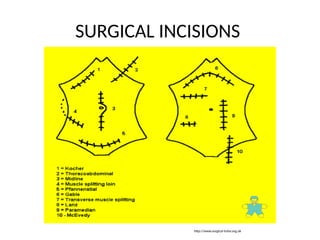 Lateral Incision Meaning Abdomen and pelvis medical - lecture 1.pptx