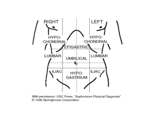 Pilvas Abdomen and pelvis medical - lecture 1.pptx