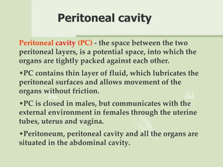 Peritoneal cavity
Peritoneal cavity (PC) - the space between the two
peritoneal layers, is a potential space, into which the
organs are tightly packed against each other.
•PC contains thin layer of fluid, which lubricates the
peritoneal surfaces and allows movement of the
organs without friction.
•PC is closed in males, but communicates with the
external environment in females through the uterine
tubes, uterus and vagina.
•Peritoneum, peritoneal cavity and all the organs are
situated in the abdominal cavity.
 
