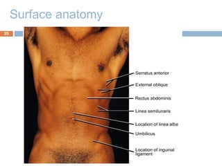 Left Submentrum abdomen_New1.ppt