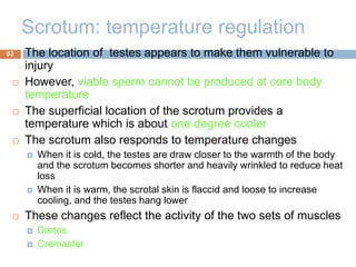 abdomen_New1.ppt