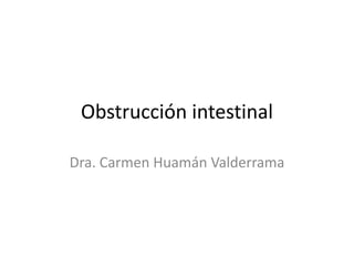 Obstrucción intestinal
Dra. Carmen Huamán Valderrama
 