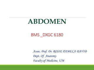 ABDOMEN
BMS _DXGC 6180
Assoc. Prof. Dr. ROSIE PAMELA DAVID
Dept. Of Anatomy
Faculty of Medicine, UM
 