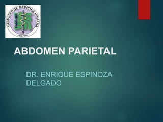 ABDOMEN PARIETAL
DR. ENRIQUE ESPINOZA
DELGADO
 