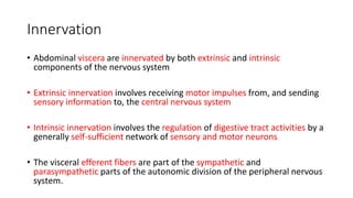 Extrinsic Innervation Abdomen part 3 | PPTX