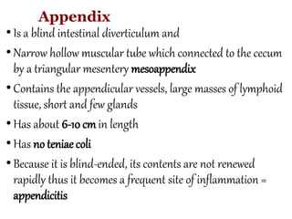 Anatomy of abdomen to medicine and health student | PPTX