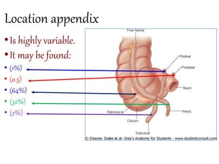 Anatomy of abdomen to medicine and health student | PPTX