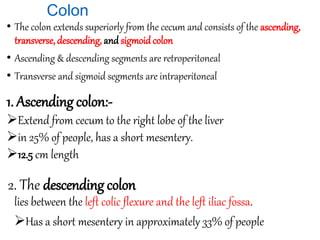 Anatomy of abdomen to medicine and health student | PPTX