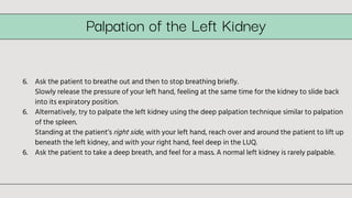 Palpably Feel abdomen PE.pptx