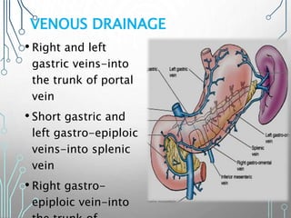 VENOUS DRAINAGE
• Right and left
gastric veins-into
the trunk of portal
vein
• Short gastric and
left gastro-epiploic
veins-into splenic
vein
• Right gastro-
epiploic vein-into
 