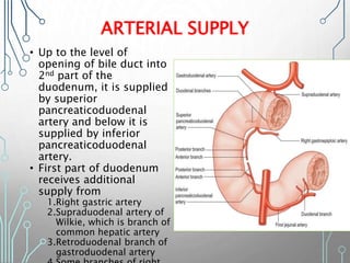 ARTERIAL SUPPLY
• Up to the level of
opening of bile duct into
2nd part of the
duodenum, it is supplied
by superior
pancreaticoduodenal
artery and below it is
supplied by inferior
pancreaticoduodenal
artery.
• First part of duodenum
receives additional
supply from
1.Right gastric artery
2.Supraduodenal artery of
Wilkie, which is branch of
common hepatic artery
3.Retroduodenal branch of
gastroduodenal artery
 