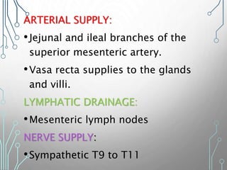 ARTERIAL SUPPLY:
•Jejunal and ileal branches of the
superior mesenteric artery.
•Vasa recta supplies to the glands
and villi.
LYMPHATIC DRAINAGE:
•Mesenteric lymph nodes
NERVE SUPPLY:
•Sympathetic T9 to T11
 