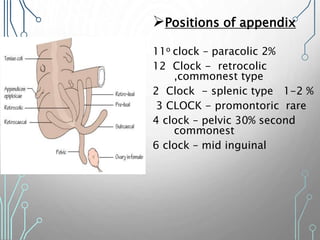 Positions of appendix
11o clock – paracolic 2%
12 Clock - retrocolic
,commonest type
2 Clock - splenic type 1-2 %
3 CLOCK - promontoric rare
4 clock – pelvic 30% second
commonest
6 clock – mid inguinal
 