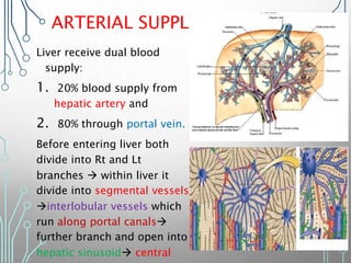 ARTERIAL SUPPLY
Liver receive dual blood
supply:
1. 20% blood supply from
hepatic artery and
2. 80% through portal vein.
Before entering liver both
divide into Rt and Lt
branches  within liver it
divide into segmental vessels
interlobular vessels which
run along portal canals
further branch and open into
hepatic sinusoid central
 
