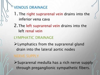 VENOUS DRAINAGE
1. The right suprarenal vein drains into the
inferior vena cava
2.The left suprarenal vein drains into the
left renal vein
LYMPHATIC DRAINAGE
Lymphatics from the suprarenal gland
drain into the lateral aortic nodes
NERVE SUPPLY
Suprarenal medulla has a rich nerve supply
through preganglionic sympathetic fibers.
 