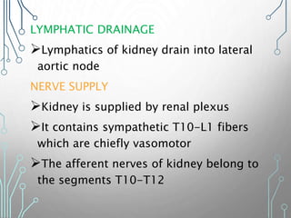 LYMPHATIC DRAINAGE
Lymphatics of kidney drain into lateral
aortic node
NERVE SUPPLY
Kidney is supplied by renal plexus
It contains sympathetic T10-L1 fibers
which are chiefly vasomotor
The afferent nerves of kidney belong to
the segments T10-T12
 