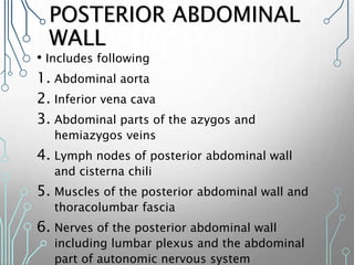 POSTERIOR ABDOMINAL
WALL
• Includes following
1. Abdominal aorta
2. Inferior vena cava
3. Abdominal parts of the azygos and
hemiazygos veins
4. Lymph nodes of posterior abdominal wall
and cisterna chili
5. Muscles of the posterior abdominal wall and
thoracolumbar fascia
6. Nerves of the posterior abdominal wall
including lumbar plexus and the abdominal
part of autonomic nervous system
 