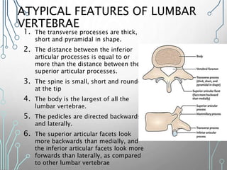 ATYPICAL FEATURES OF LUMBAR
VERTEBRAE
1. The transverse processes are thick,
short and pyramidal in shape.
2. The distance between the inferior
articular processes is equal to or
more than the distance between the
superior articular processes.
3. The spine is small, short and rounded
at the tip
4. The body is the largest of all the
lumbar vertebrae.
5. The pedicles are directed backwards
and laterally.
6. The superior articular facets look
more backwards than medially, and
the inferior articular facets look more
forwards than laterally, as compared
to other lumbar vertebrae
 