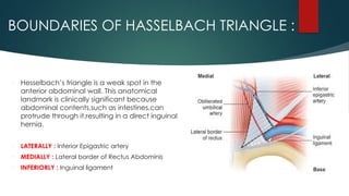 abdomen presentation containing all brief knowledge | PPTX