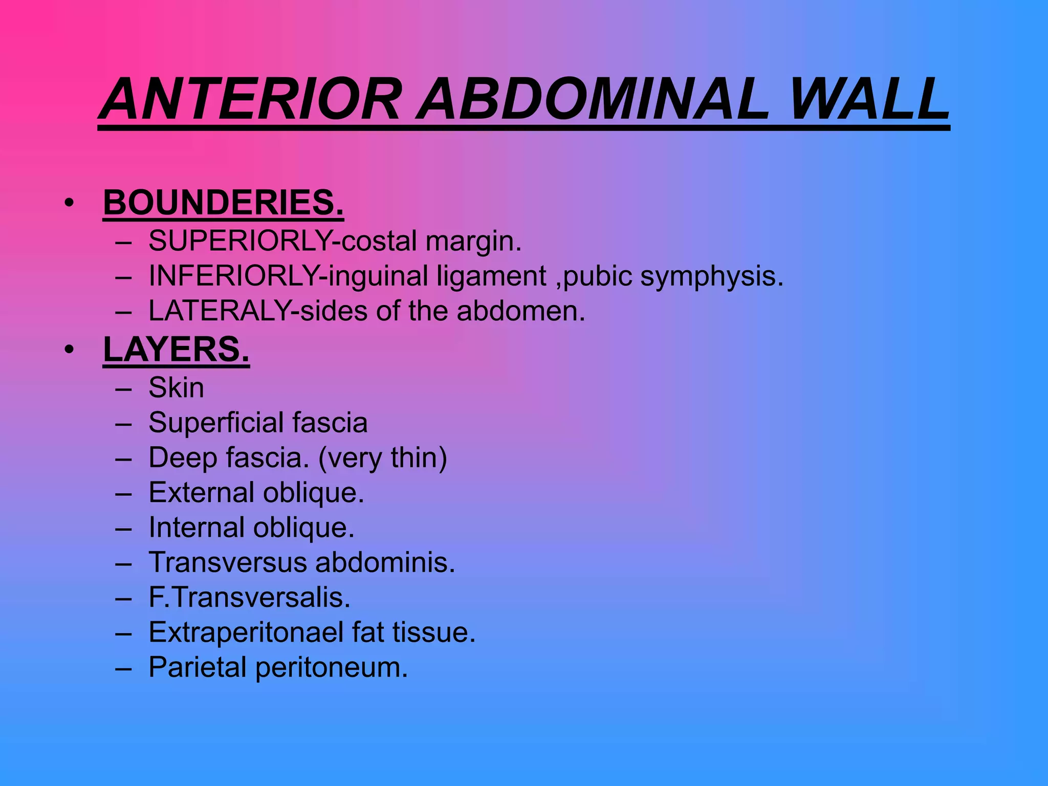 Abdomen Presentation anat.ppt