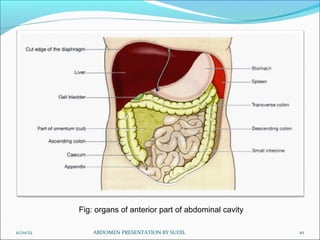 Fig: organs of anterior part of abdominal cavity

11/01/12       ABDOMEN PRESENTATION BY SUDIL                  10
 