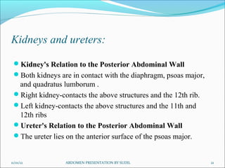 Kidneys and ureters:

 Kidney's Relation to the Posterior Abdominal Wall
 Both kidneys are in contact with the diaphragm, psoas major,
  and quadratus lumborum .
 Right kidney-contacts the above structures and the 12th rib.
 Left kidney-contacts the above structures and the 11th and
  12th ribs
 Ureter's Relation to the Posterior Abdominal Wall
 The ureter lies on the anterior surface of the psoas major.


11/01/12          ABDOMEN PRESENTATION BY SUDIL                  21
 