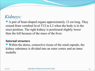 Kidneys:
 A pair of bean-shaped organs approximately 12 cm long. They
 extend from vertebral level T12 to L3 when the body is in the
 erect position. The right kidney is positioned slightly lower
 than the left because of the mass of the liver.

 Internal structure
 Within the dense, connective tissue of the renal capsule, the
 kidney substance is divided into an outer cortex and an inner
 medulla




11/01/12          ABDOMEN PRESENTATION BY SUDIL                   23
 