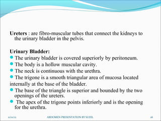 Ureters : are fibro-muscular tubes that connect the kidneys to
  the urinary bladder in the pelvis.

 Urinary Bladder:
 The urinary bladder is covered superiorly by peritoneum.
 The body is a hollow muscular cavity.
 The neck is continuous with the urethra.
 The trigone is a smooth triangular area of mucosa located
 internally at the base of the bladder.
 The base of the triangle is superior and bounded by the two
   openings of the ureters.
  The apex of the trigone points inferiorly and is the opening
   for the urethra.
11/01/12          ABDOMEN PRESENTATION BY SUDIL                   26
 
