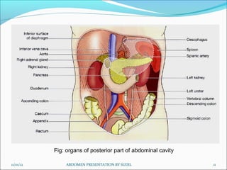 11/01/12 ABDOMEN PRESENTATION BY SUDIL 11
Fig: organs of posterior part of abdominal cavity
 