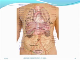 11/01/12 29
ABDOMEN PRESENTATION BY SUDIL
 