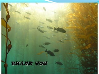 11/01/12 ABDOMEN PRESENTATION BY SUDIL 58
THANK YOU
THANK YOU
 