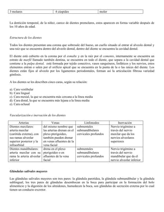 Abdomen y mienbro inferior