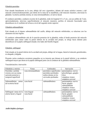 Abdomen y mienbro inferior