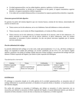 Abdomen y mienbro inferior