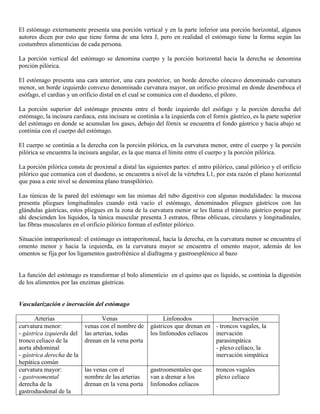 Abdomen y mienbro inferior