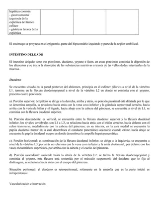 Abdomen y mienbro inferior