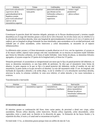 Abdomen y mienbro inferior