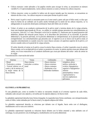 Abdomen y mienbro inferior