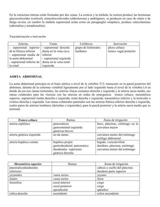Abdomen y mienbro inferior
