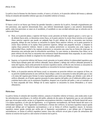 Abdomen y mienbro inferior