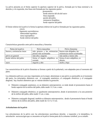 Abdomen y mienbro inferior